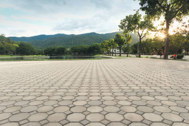Best Driveway Repair Near Me  in Hollywood Park, TX