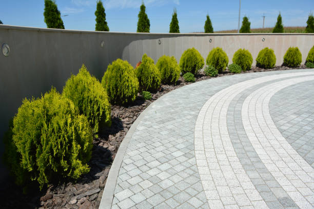 Best Concrete Paver Driveway  in Hollywood Park, TX