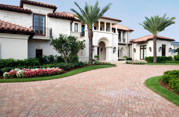 Best Custom Driveway Pavers  in Hollywood Park, TX