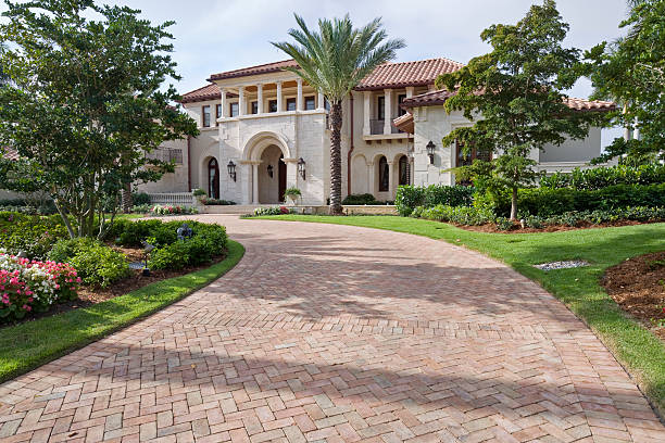 Best Driveway Paving Contractor  in Hollywood Park, TX