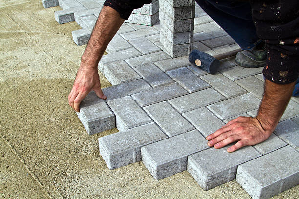 Best Local Driveway Pavers  in Hollywood Park, TX